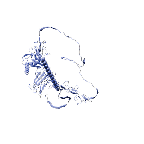 Cynomolgus CD93 (C-6His, HEK293)